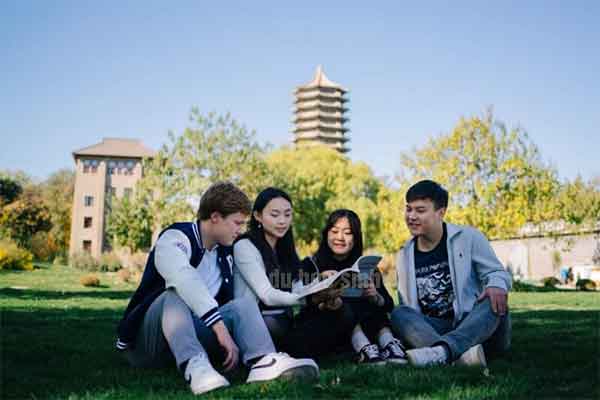 Tình hình du học hiện nay