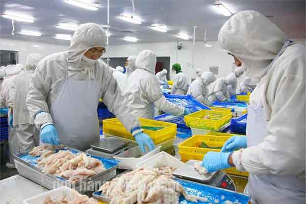 các đơn hàng Đài Loan