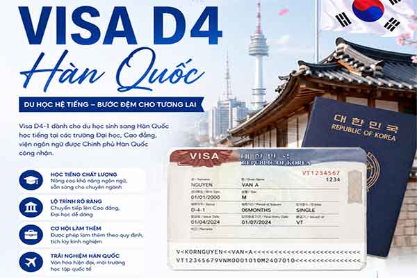 visa D4